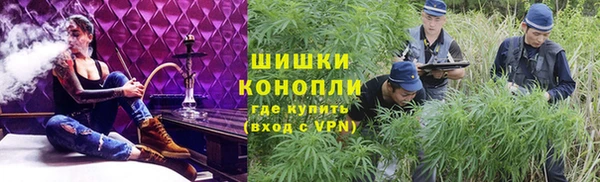спиды Лиски