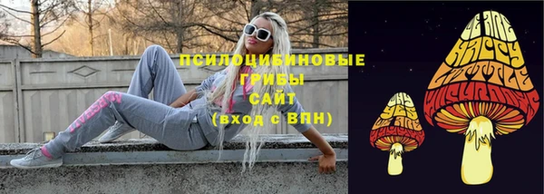 соль курить ск Липки