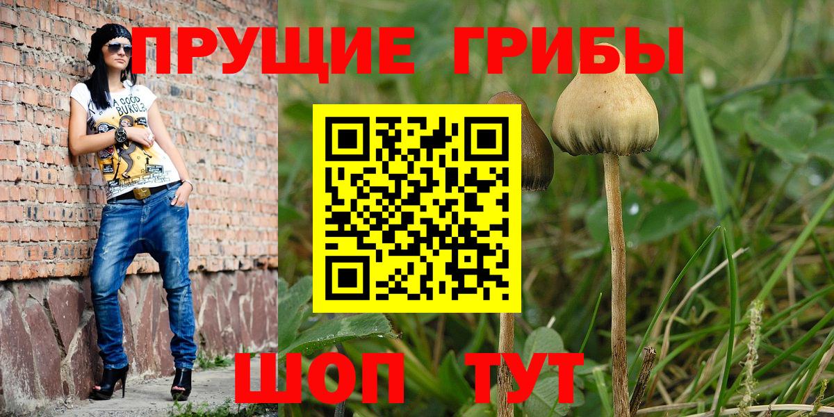 Туапсе  Галлюциногенные грибы ЛСД  Вход с VPN 